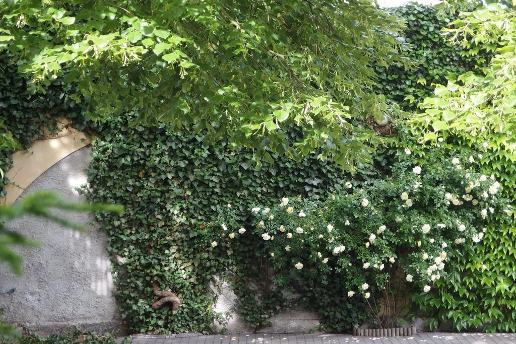 Patio Apartamenty I Pokoje Niechorze Bagian luar foto